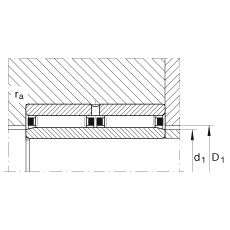 滾針軸承 NAO25X42X32-ZW-ASR1, 無擋邊，雙列